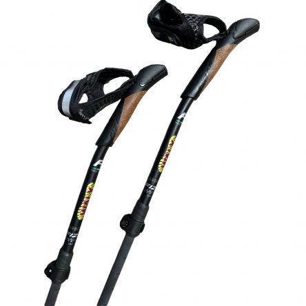 Nordic WALX Fizan Carbon Pro Impulse