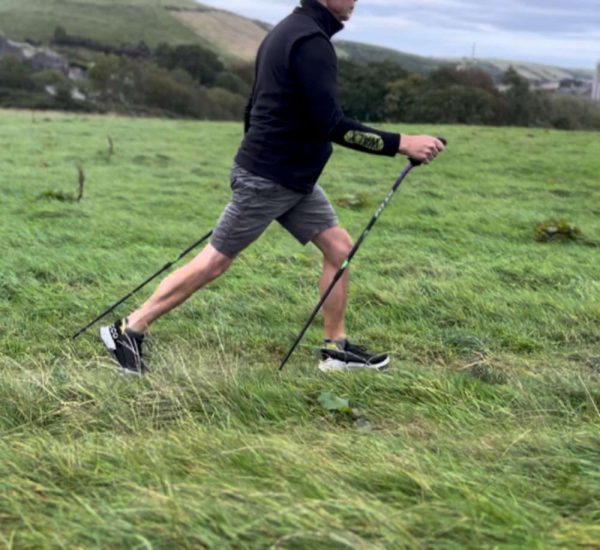 Total Body Pole Walking Course (online) - Image 3