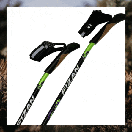 WALX Nordic Walking Bundle